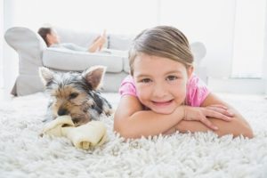  Tempe Carpet Cleaning Specials